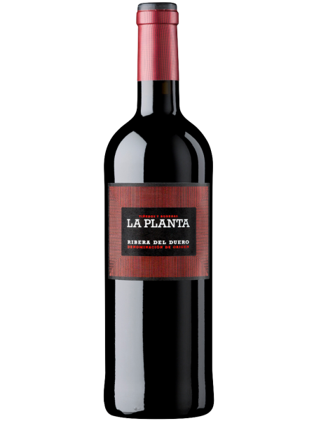Arzuaga La Planta Magnum Ribera 1,5 Litros