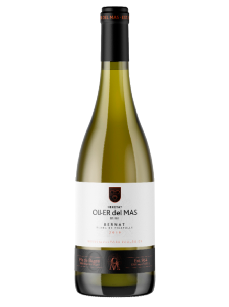Oller del Mas Bernat Blanc de Picapolls