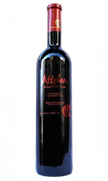 Vino Tinto Attelea Roble